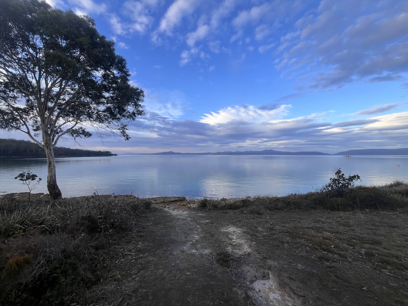 Path through coastal scrub down to Norfolk Bay